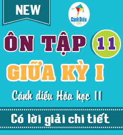 Ôn tập Giữa kỳ I (CD_HH11)